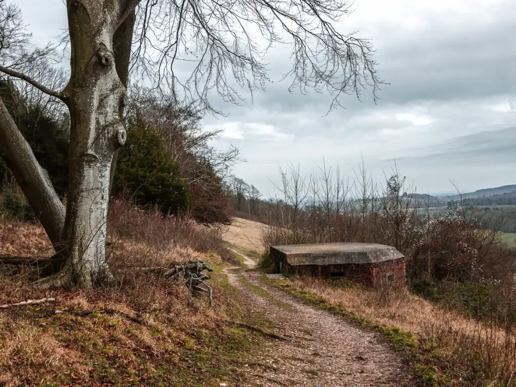 A hillside war pillbox on the walk from Guildford to Westhumble along the North Downs Way.