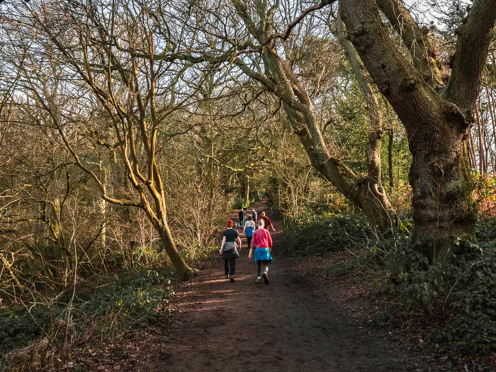 A group of people walking uphill along the dirt trail through the woods along stage 2 of the North Downs Way.