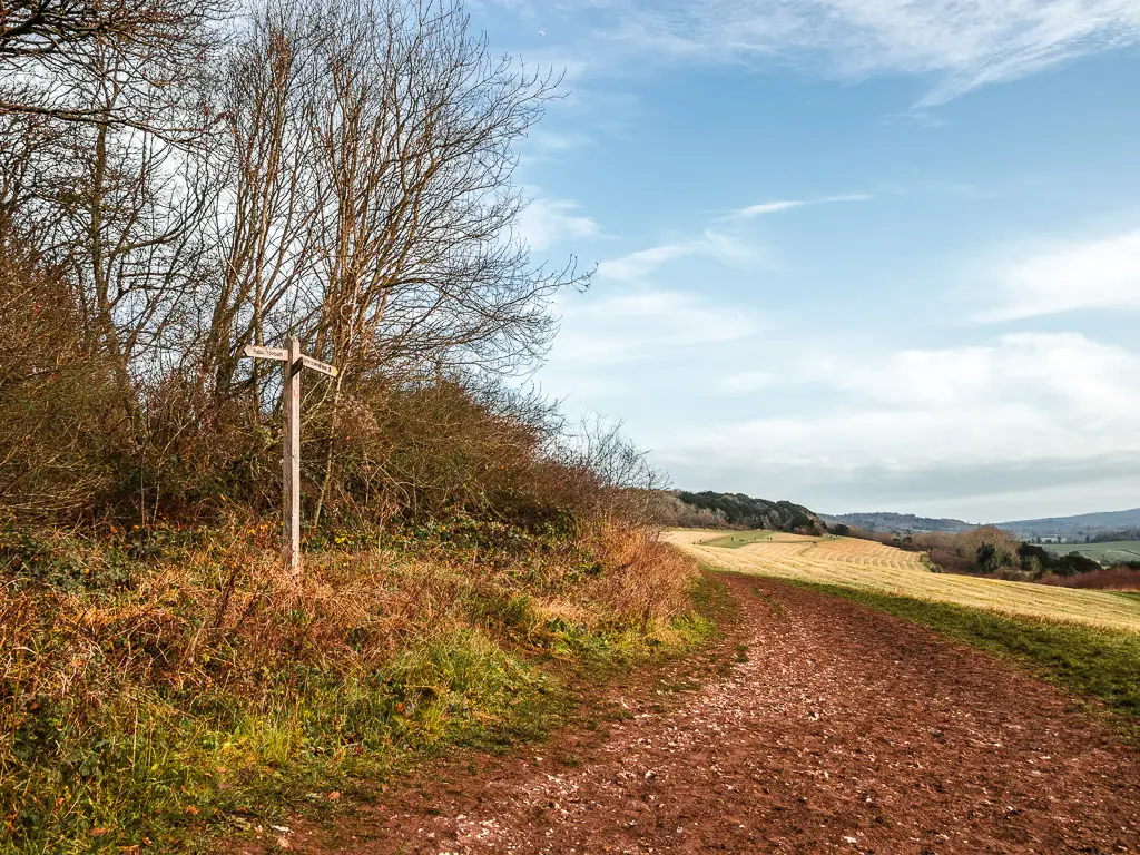 A wide dirt part leading to the big open hill field of Newlands Corner. There is a wooden signpost on the left of the trail.