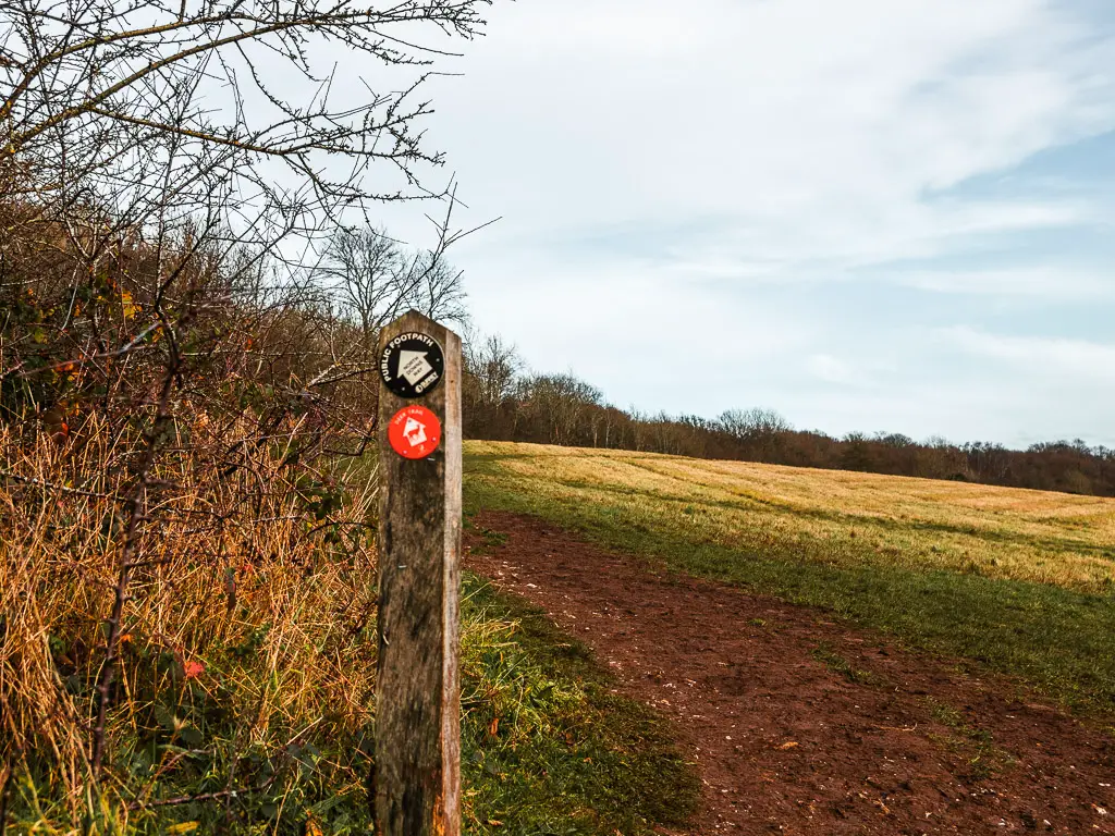 Wooden stub signpost with a black disc marking the walk route of the North Downs Way stage 2. The signpost is on the side of a dirt trail leading into a big open field.