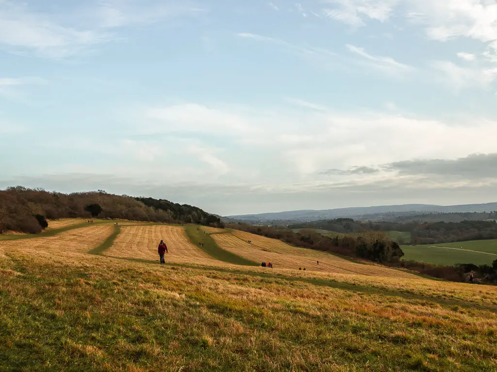 Looking across the hillside field of Newlands Corner to the trees and hills in the distance. there are a few people walking along the side of the hill.