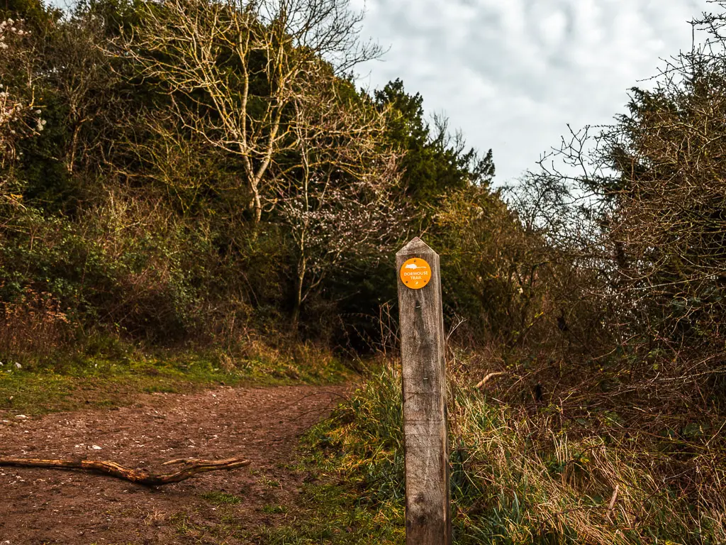 A wooden signpost on the side of a dirt trail. There is a yellow disc on the signpost marking the Dormouse trail. 