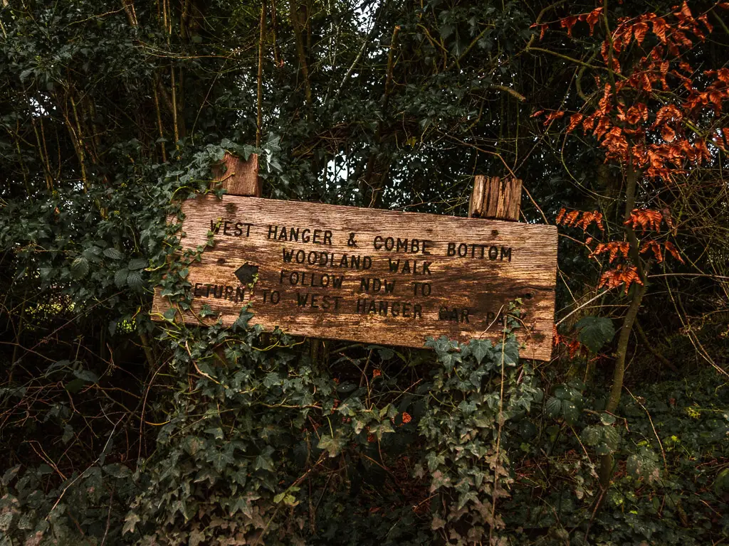 A wooden sign amongst the bushes.
