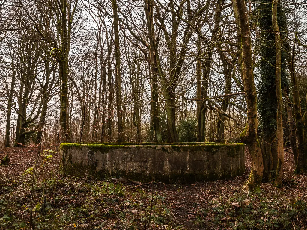 A concrete bunker type thing amongst the trees.