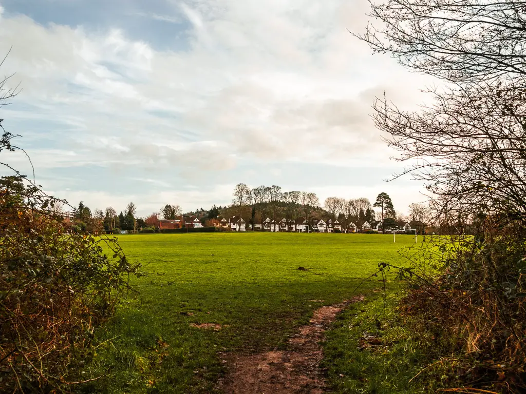 Looking through the bushes to the large green grass field with the houses on the other side on the walk from Guildford to Westhumble.