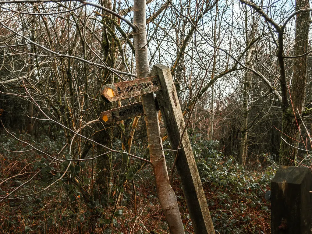 A North downs Way walk signpost leaning against a tree in the woods.