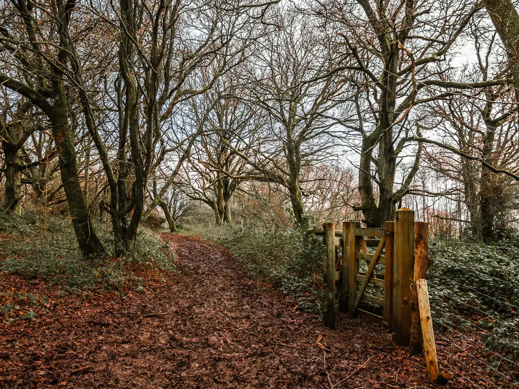 A muddy trail running through the woods on the Guildford to Westhumble walk. There is a wooden gate on the left side of the trail with a wire fence.