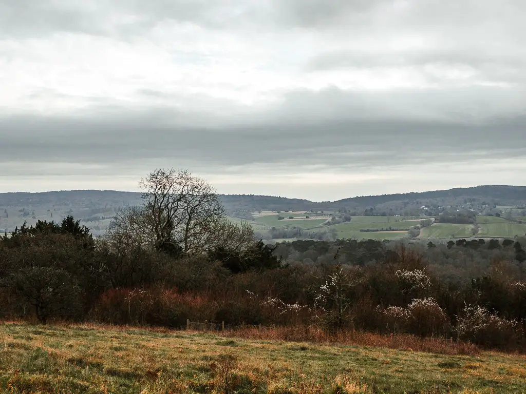 Looking downhill to the view of the rolling green hills in the distance on the walk from Guildford to Westhumble.