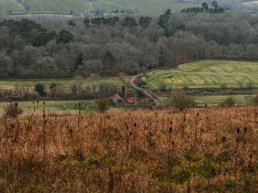 Looking downhill to fields and trees at the bottom and a cute red house along the North downs way walk from Guildford to Westhumble.