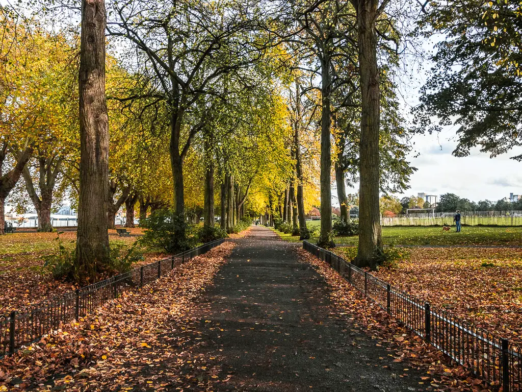 A black path through a tree tunnel in Wandsworth Park.