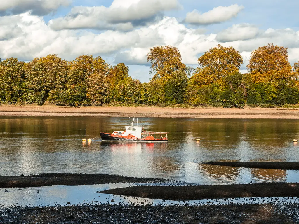 Looking across the river to the bank and green trees lining the other side on the walk from Putney to Battersea along the Thames Path. There is a small red and white boat moored in the middle of the river. 