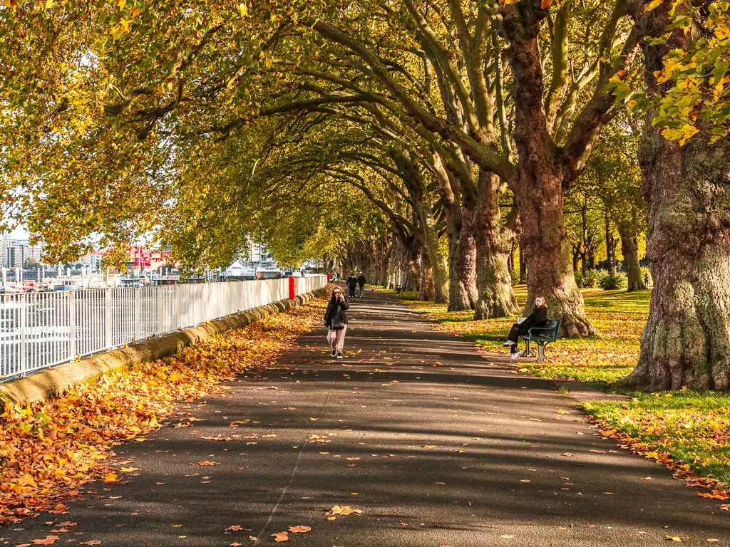 The Thames Path on the walk from Putney to Battersea. The path is lined with overhanging trees. There are orange autumn leaves scattered across the ground. 