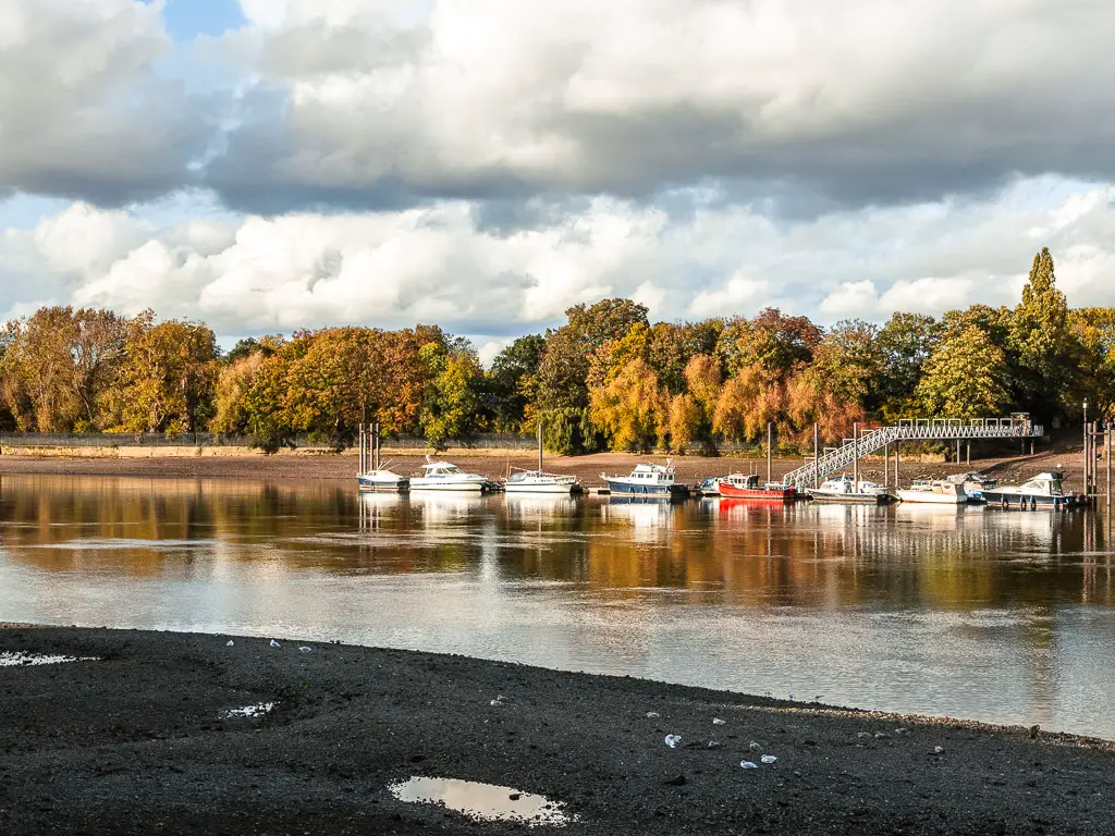 Looking across the bank of the river at low tide on the Thames Path walk to Battersea from Putney. There are lots of leafy trees lining the other side of the river, and some boats moored along the side. 