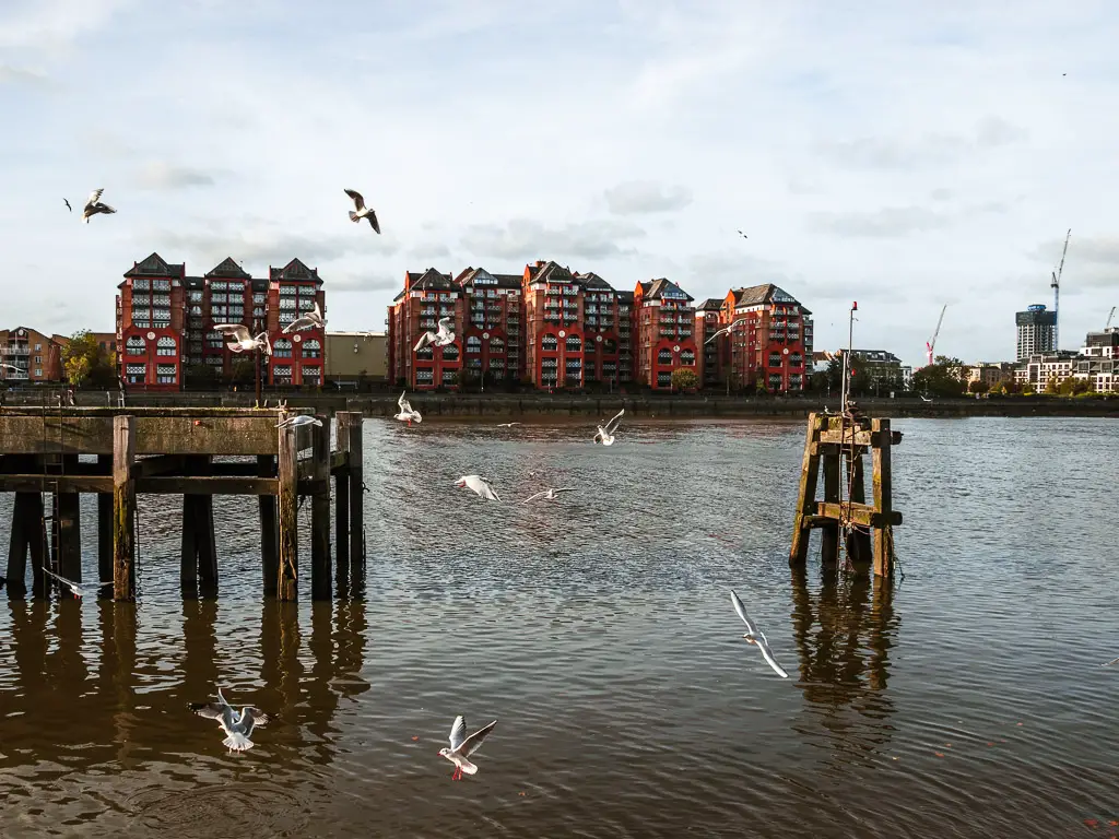 A wooden platform in the River Thames. There are white seagulls flying about. There is a red apartment block on the other side of the river.