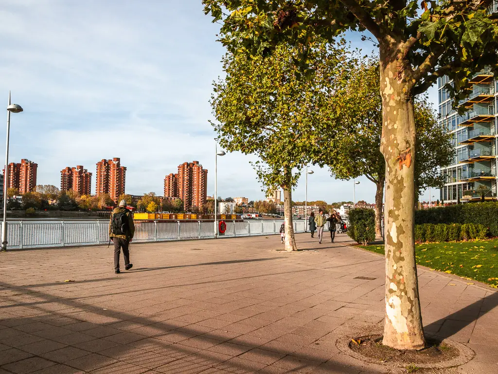 A large open path next to the River Thames on the Putney to Battersea walk. There is a man walking cross the path. There are two trees planted on the path. 