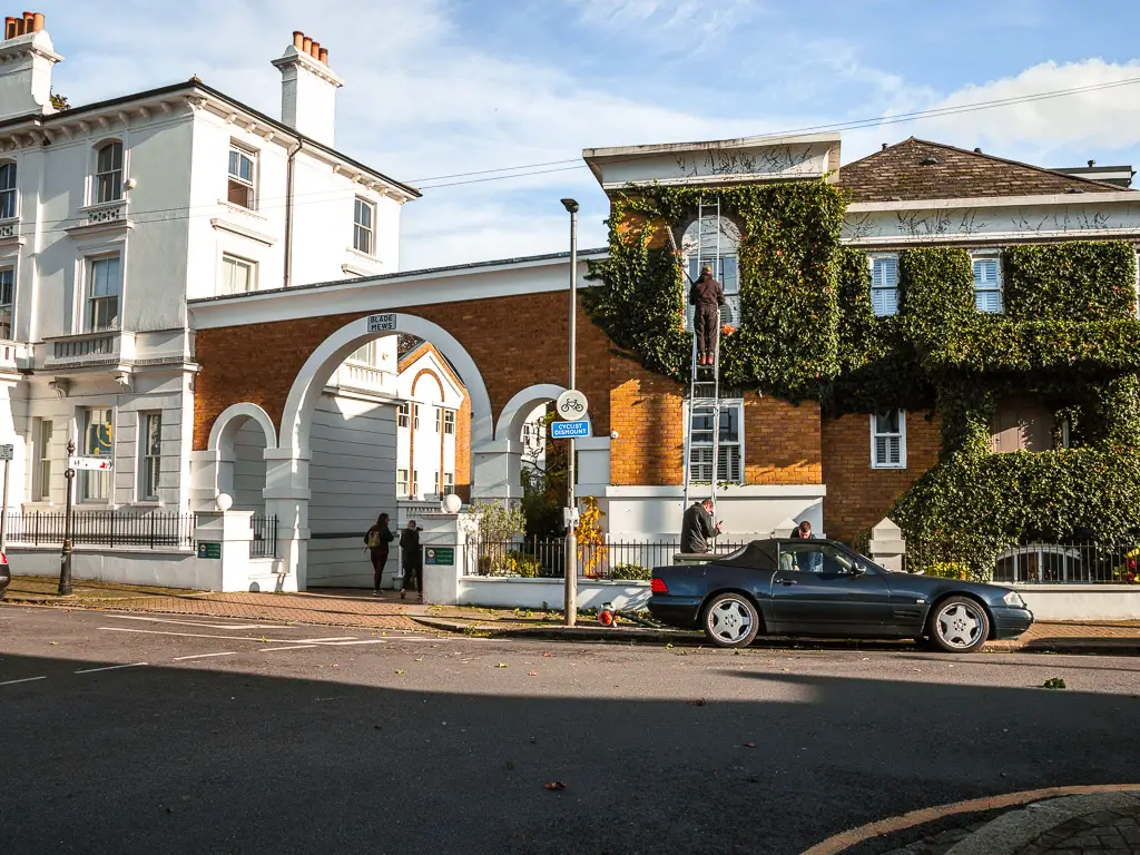 The faced of mews homes with ivy leaves growing across it.