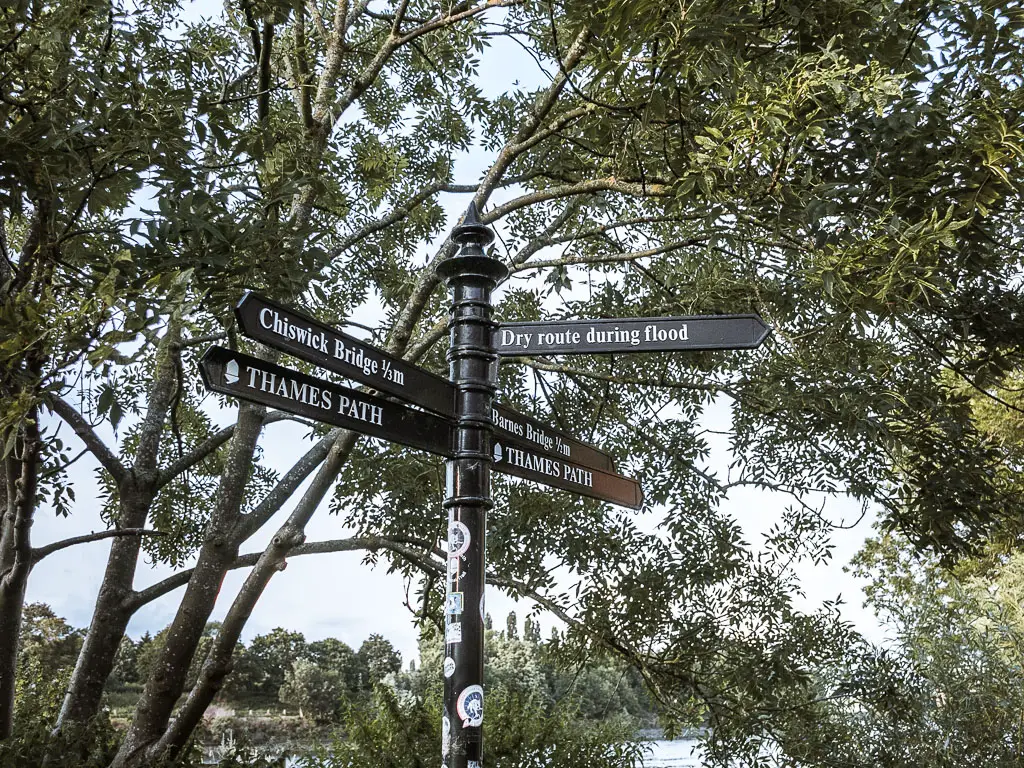 An iron signpost pointing to the 'Thames Path' and 'dry route during flood' on the walk between Richmond and Putney along the river.