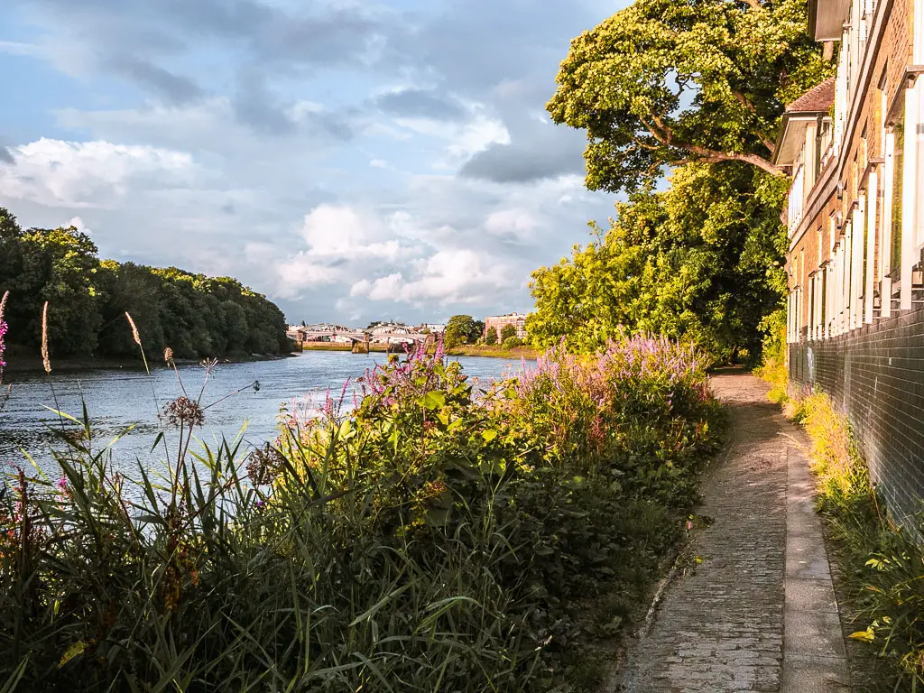 A small path to the right, with a row of houses on the right side of it, and greenery then river to the left on the walk towards Putney from Richmond. 