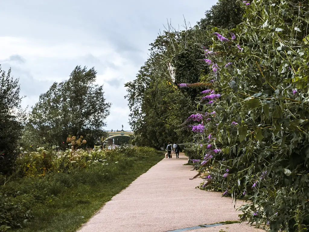 People walking in the distance along the Thames Path from Richmond. There are bushes with purple flowers on the right, and grass lining the trail on the left.