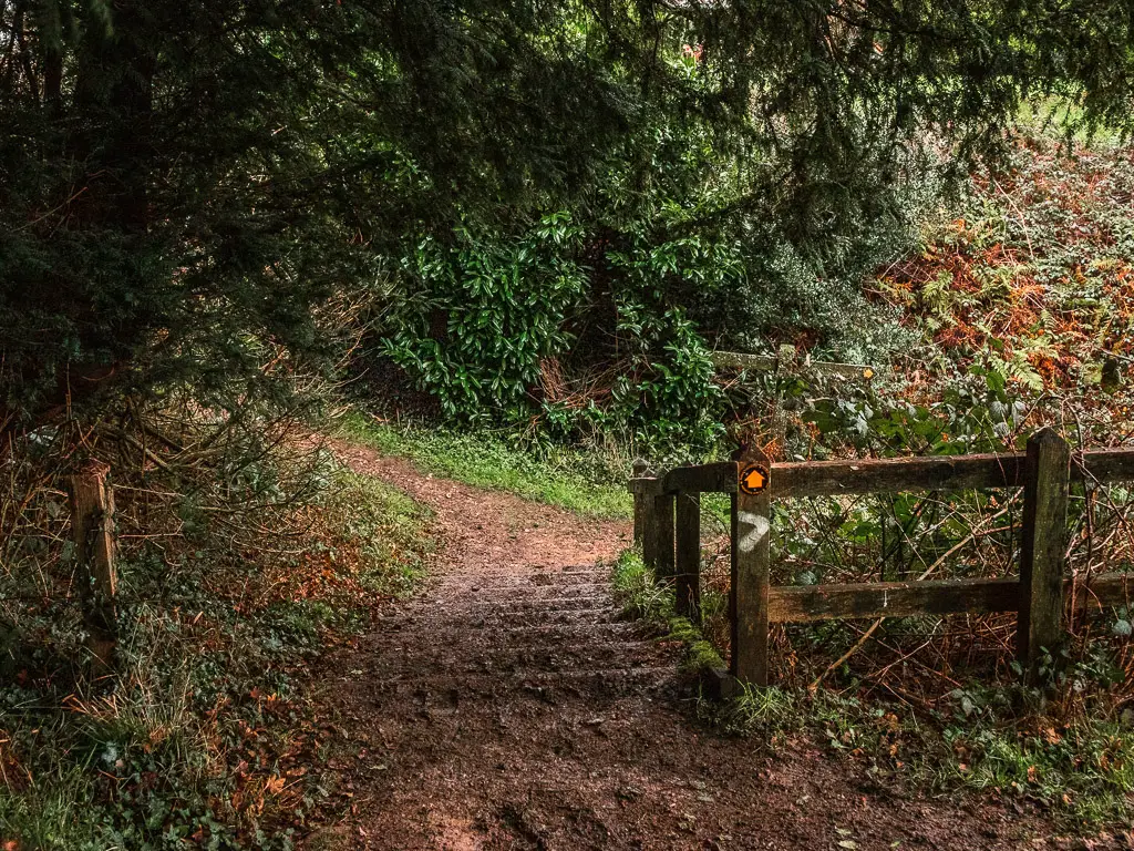 Steps leading down, next to a wooden fence with trail markings on the walk towards Merstham from Westhumble.