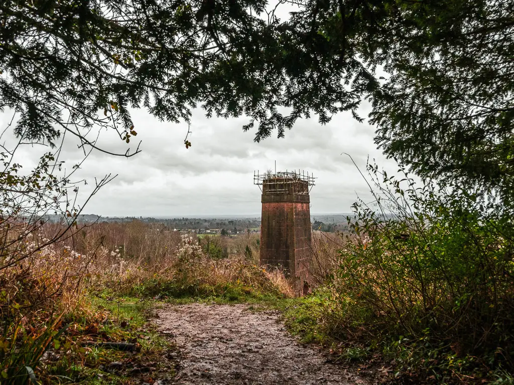 Looking through a gap in the bushes to the tall abandoned looking structure.