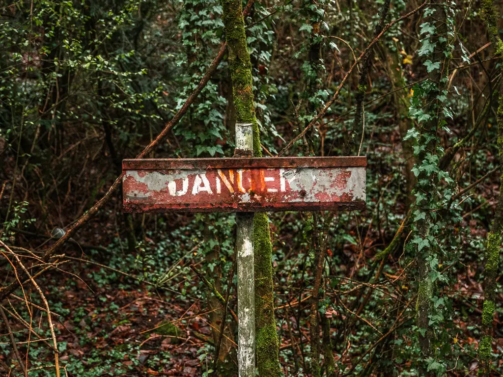 A red coloured metal sign with the word 'danger', standing in front of vine leaves.