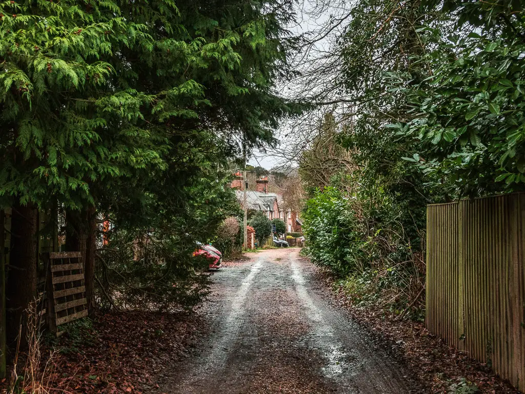 The road leading through the trees and bushes, lined with a fence on the walk between Westhumble and Merstham. through the trees some old houses are just visible.