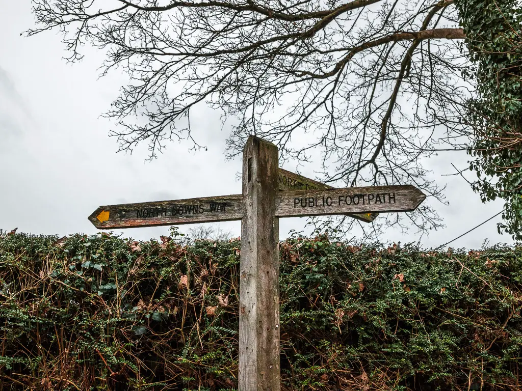 The wooden cross signpost marking stage 3 of the North Downs Way walk route. The sign is in front of a hedge.