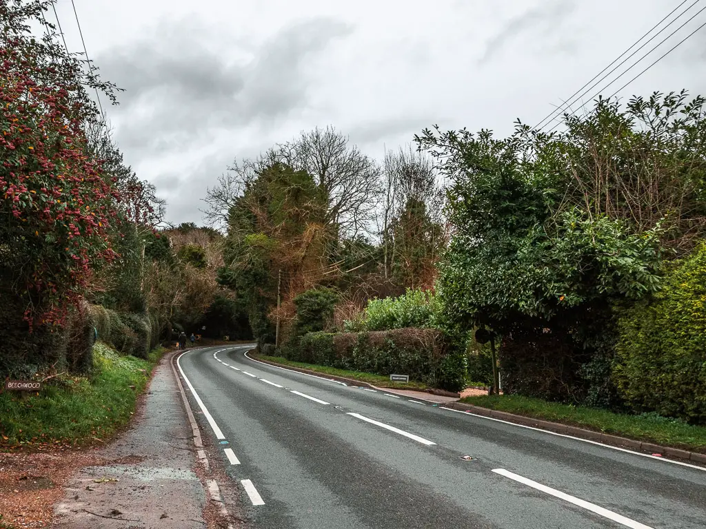 The road going straight and curving to the right at the end. The road is lined with hedges, bushes and trees.
