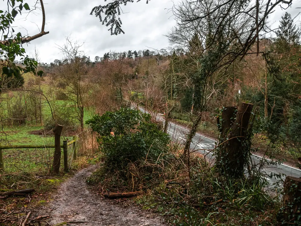 The dirt path as it leads down to a road. there is a field ahead to the left, and lots of trees and bushes lining the road.