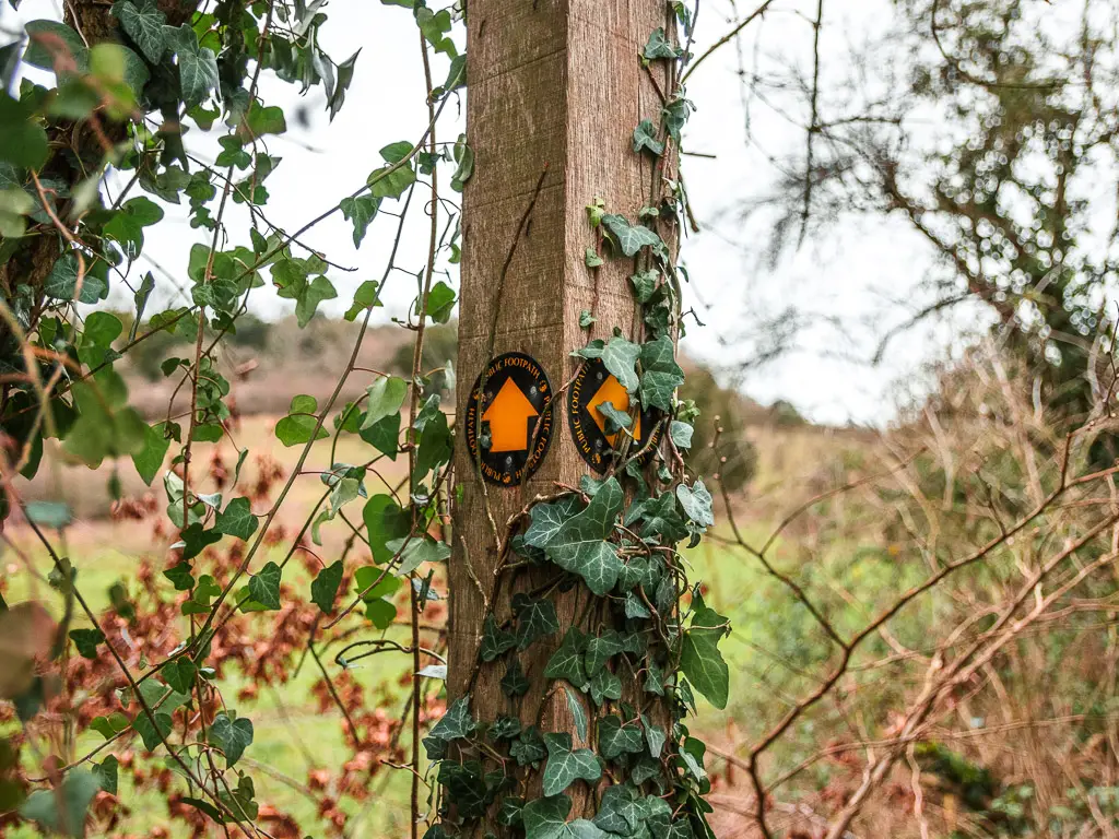 A black disc sign with orange arrow marking the route for stage 3 of the North Downs Way walk. The black disc is on a wooden pole lined with vine leaves.
