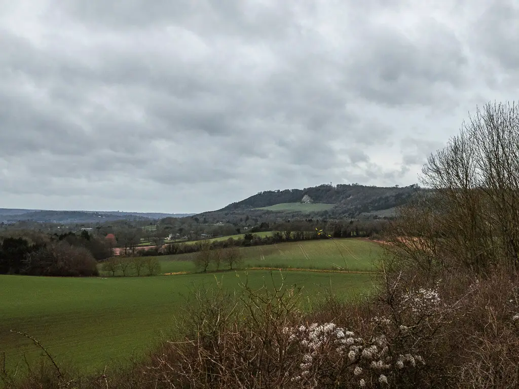 Looking over the bushes to the green rolling fields and big hill in the distance when walking to Merstham from Westhumble.