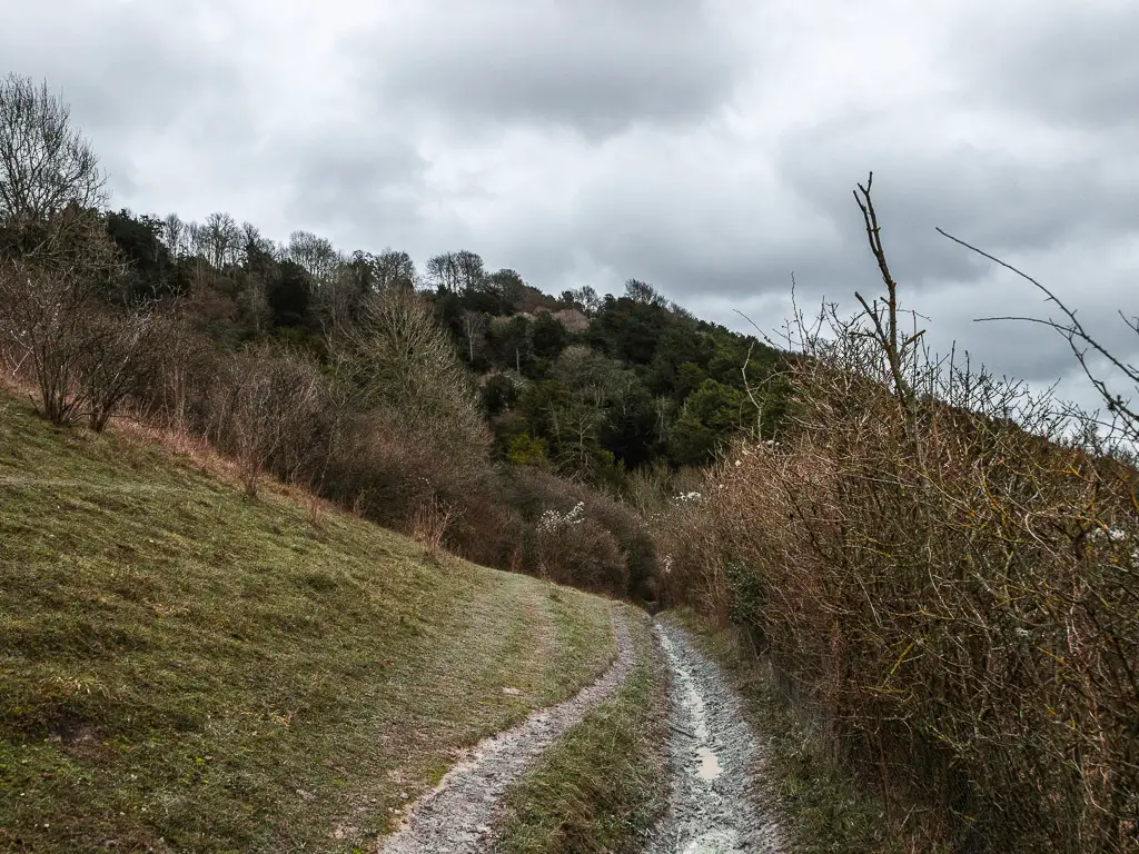 A narrow trail running along the bottom of a grass hill, towards woodland on the other side.