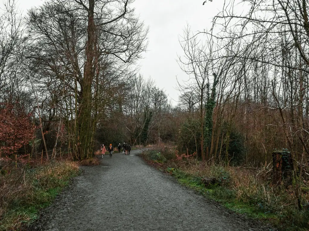 A wide path lined with grass and straggly trees near the end of the walk between Westhumble and Merstham along stage 3 of the North Downs Way.