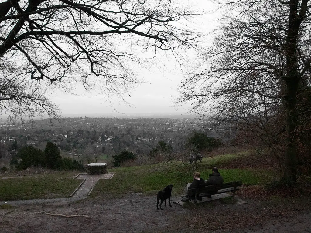 A bench with two people sat on it and a black dog, looking out to the view in the distance.