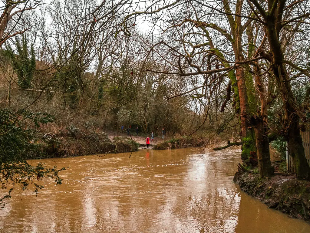 The brown water river at the start of the walk from Westhumble to Merstham. the river is within the woodland.