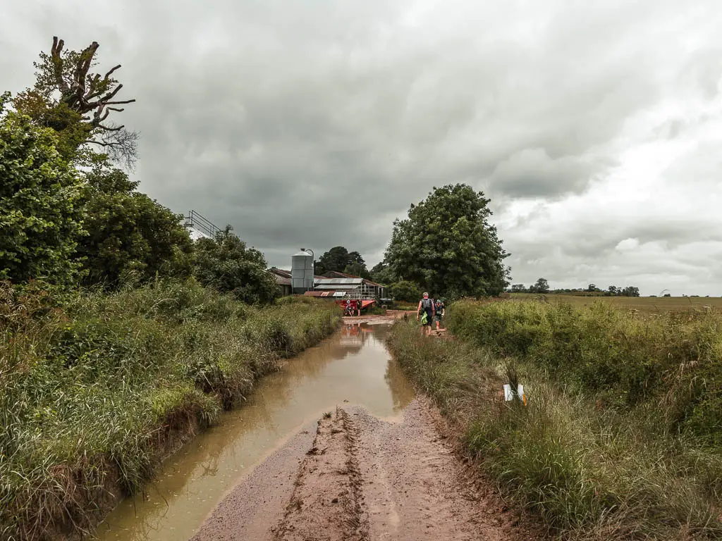 A muddy path with a big puddles. the path is lined with grass on both sides and bushes on the left. There is a farm building ahead to the left.