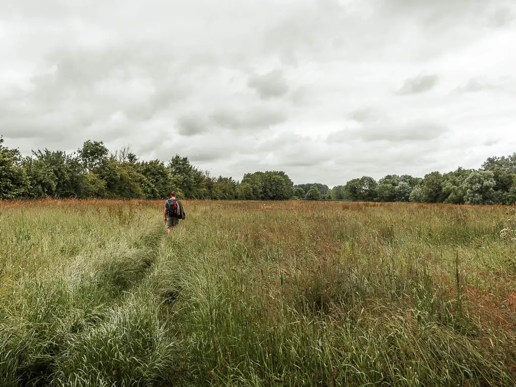 A man walking through a tall grass field. There are lots of trees and bushes on the other side of the field.