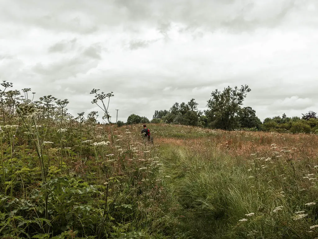 A large field with tall unkempt grass, and a man partially visible walking through it.