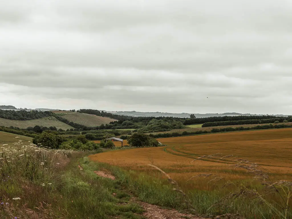 Looking across the patchwork fields of the Marlborough Downs on the walk along the Ridgeway towards Avebury.