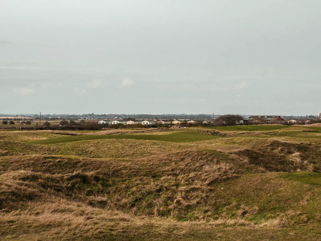 The undulating golf green on the walk from Deal to Sandwich. There are some houses visible on the other side of the green. 