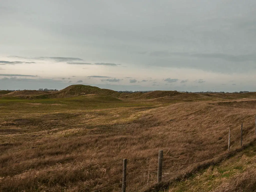 An undulating golf green surrounded by overgrown grass.