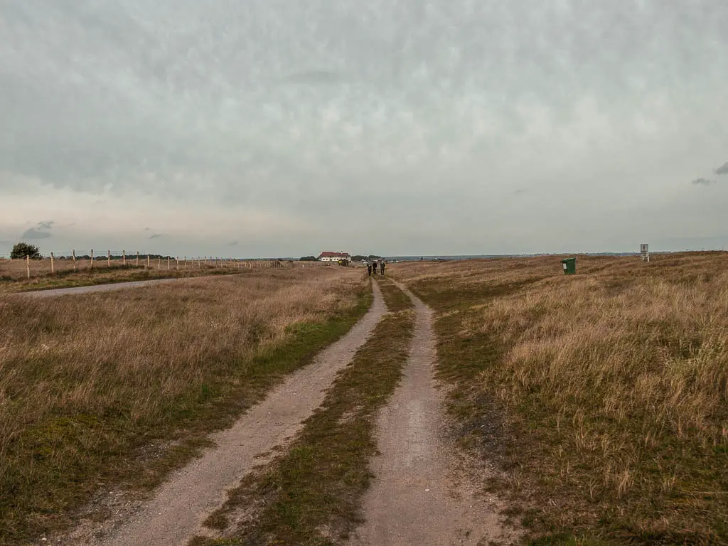 A two track path through the overgrown grass on the walk from Deal to Sandwich. There are a few people walking on the path in the distance. 