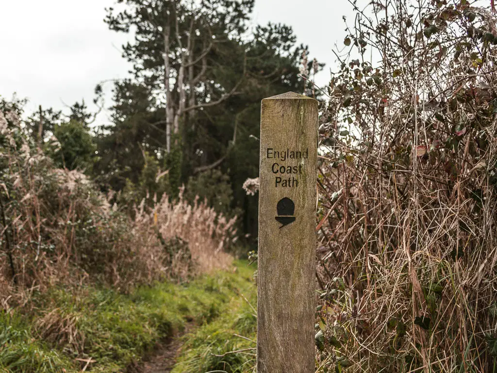 A wooden signpost saying 'England Coast Path' on the walk from Deal to Sandwich. 