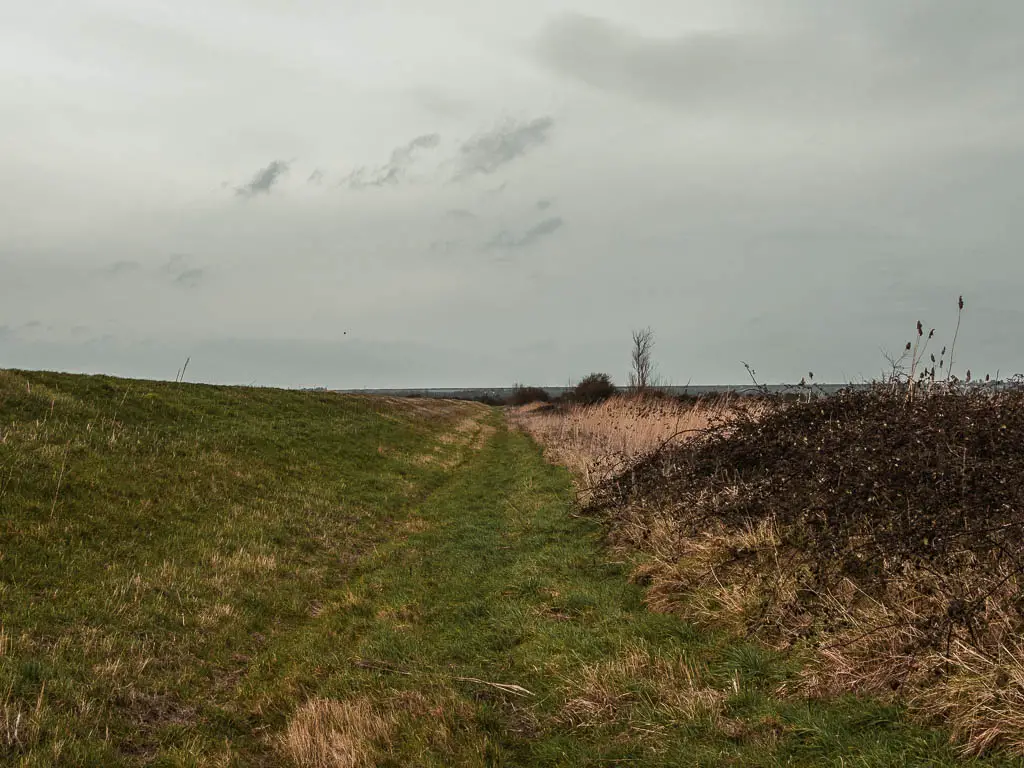 A grass path with a bank up the left side. 