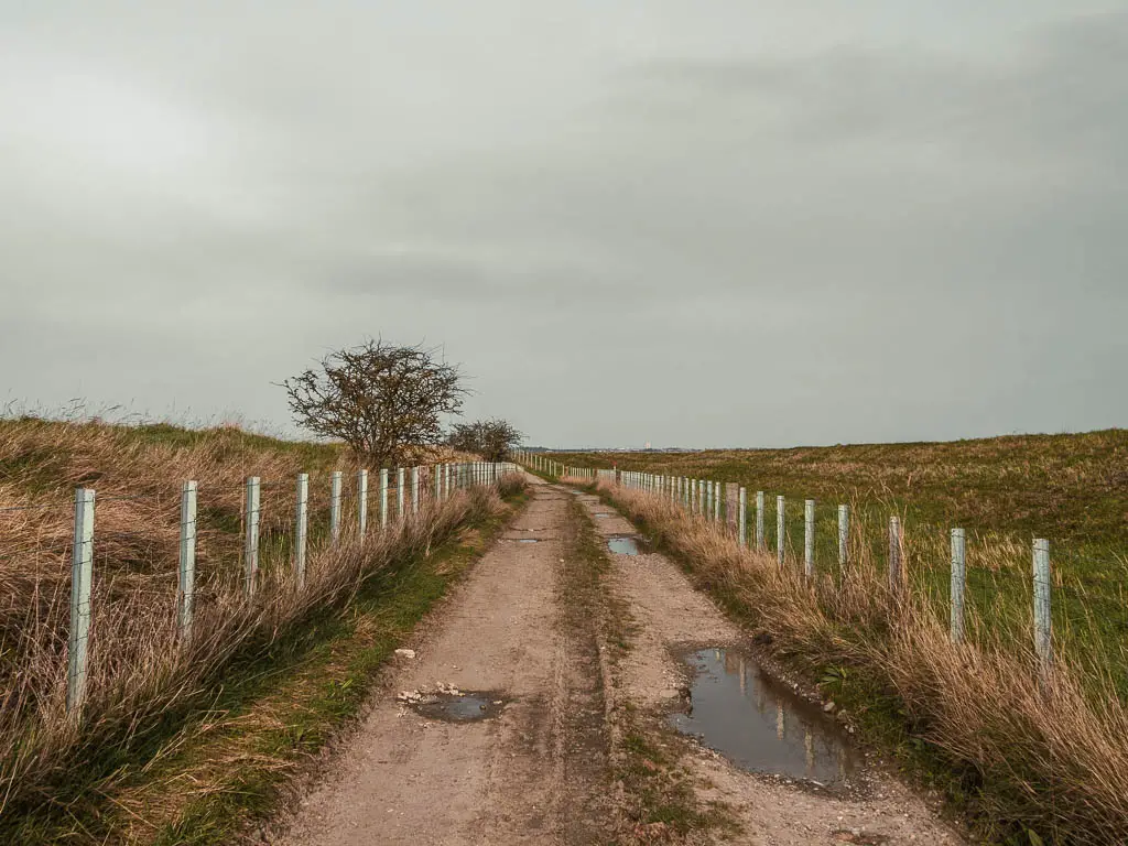 A road with some puddles, and lines with a wire fence. 