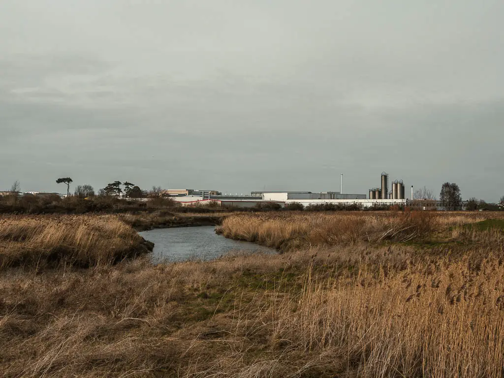 Looking across the hay and grass to the winding River Stour at the end of the walk from Deal to Sandwich. Industrial buildings are visible in the distance. 