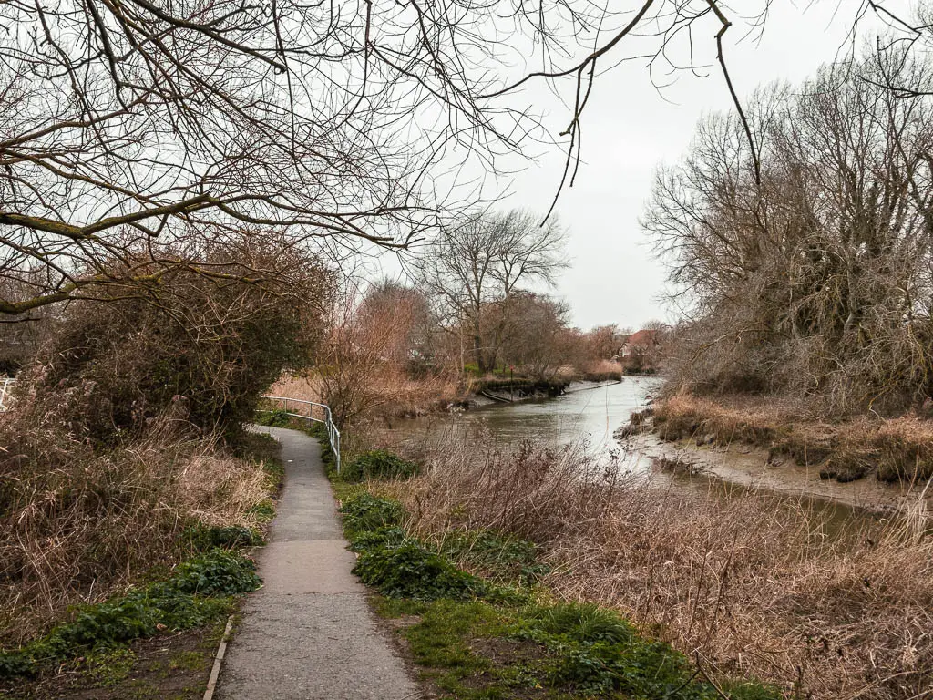 A path surrounded by grass, and bushes, with the River Stour to the right on the walk into Sandwich.