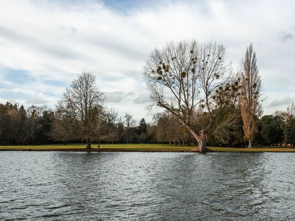 Looking across the River Thames to the green and some trees on the other side.