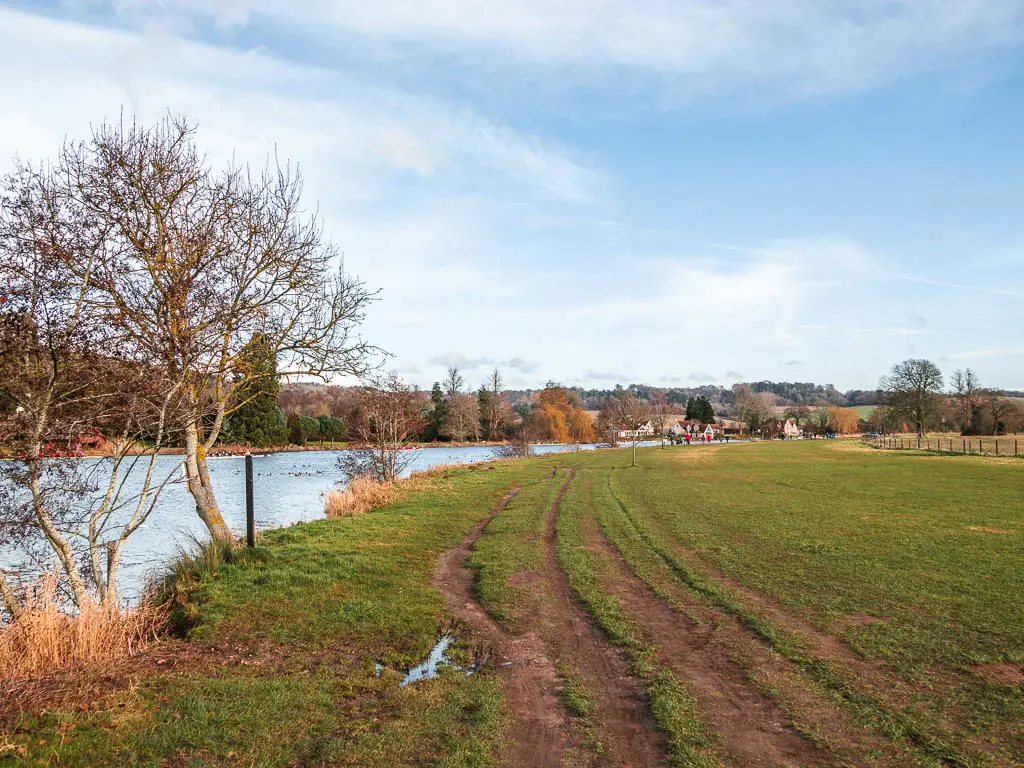 Dirt trails through the green with the River Thames on the left, on the walk from Henley to Marlow. 